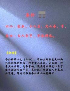 六十四卦：古老智慧助力现代企业战略决策